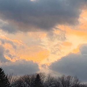 Meet your Posher, Naomi